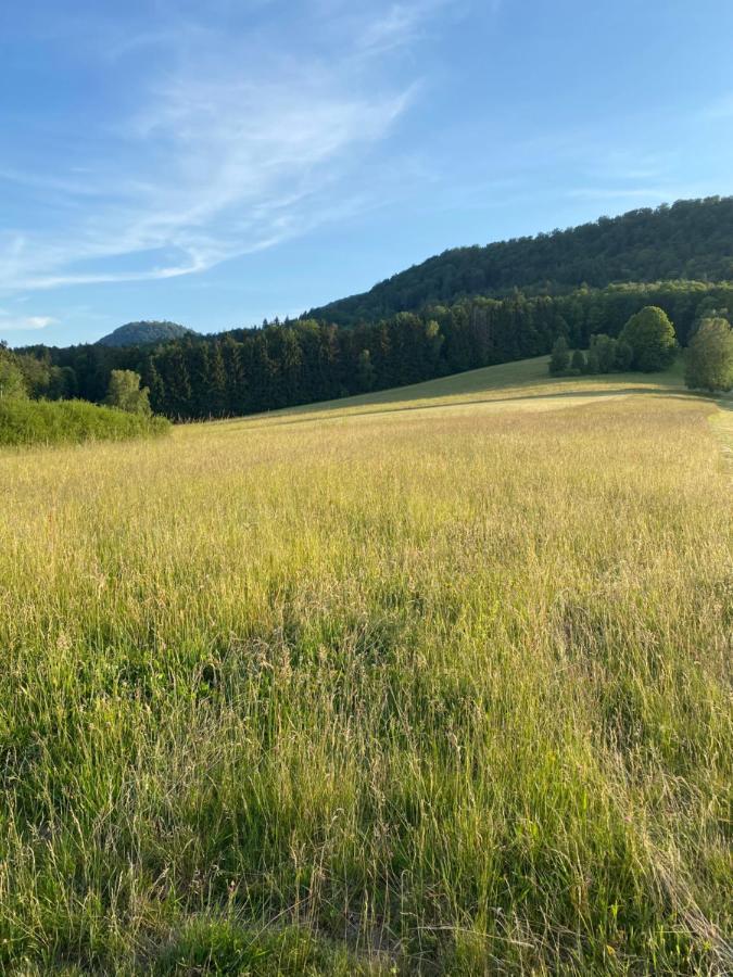 Ferienwohnung Burkhart Bundenthal Buitenkant foto